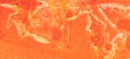 Renée's works | Il germe della vita