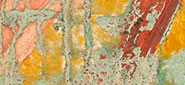 Renée's works | Passato e Presente