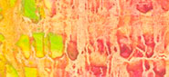 Renée's works | Trasparenze